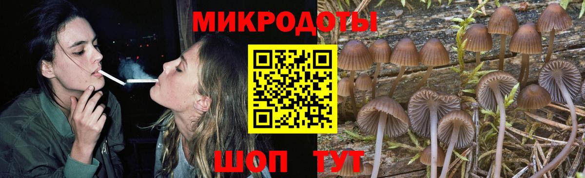 Саяногорск  Псилоцибиновые грибы Magic Shrooms  Вход с VPN 